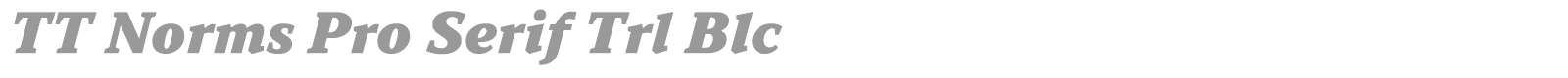 TT Norms Pro Serif font preview